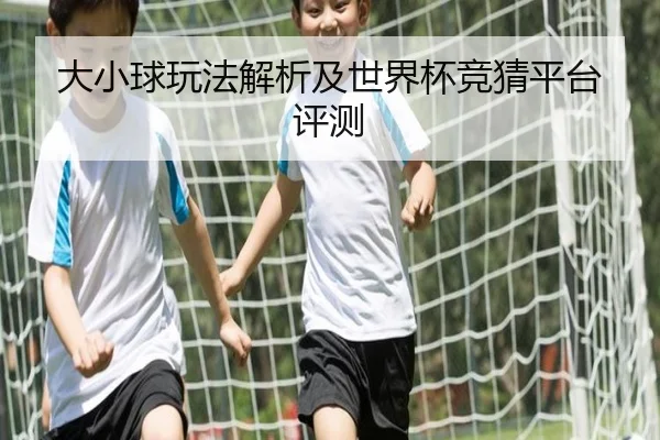 大小球玩法解析及世界杯竞猜平台评测