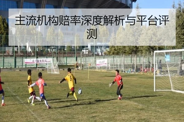 主流机构赔率深度解析与平台评测